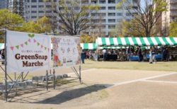 2日間で５万人以上の来場人数！横浜市と連携した植物イベント【GreenSnap Marche YOKOHAMA】を今年も開催！